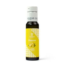 Guglielmi - Aromatico allo Zenzero - Ginger Flavored Extra Virgin Olive Oil (100ml - 3.38 fl oz)